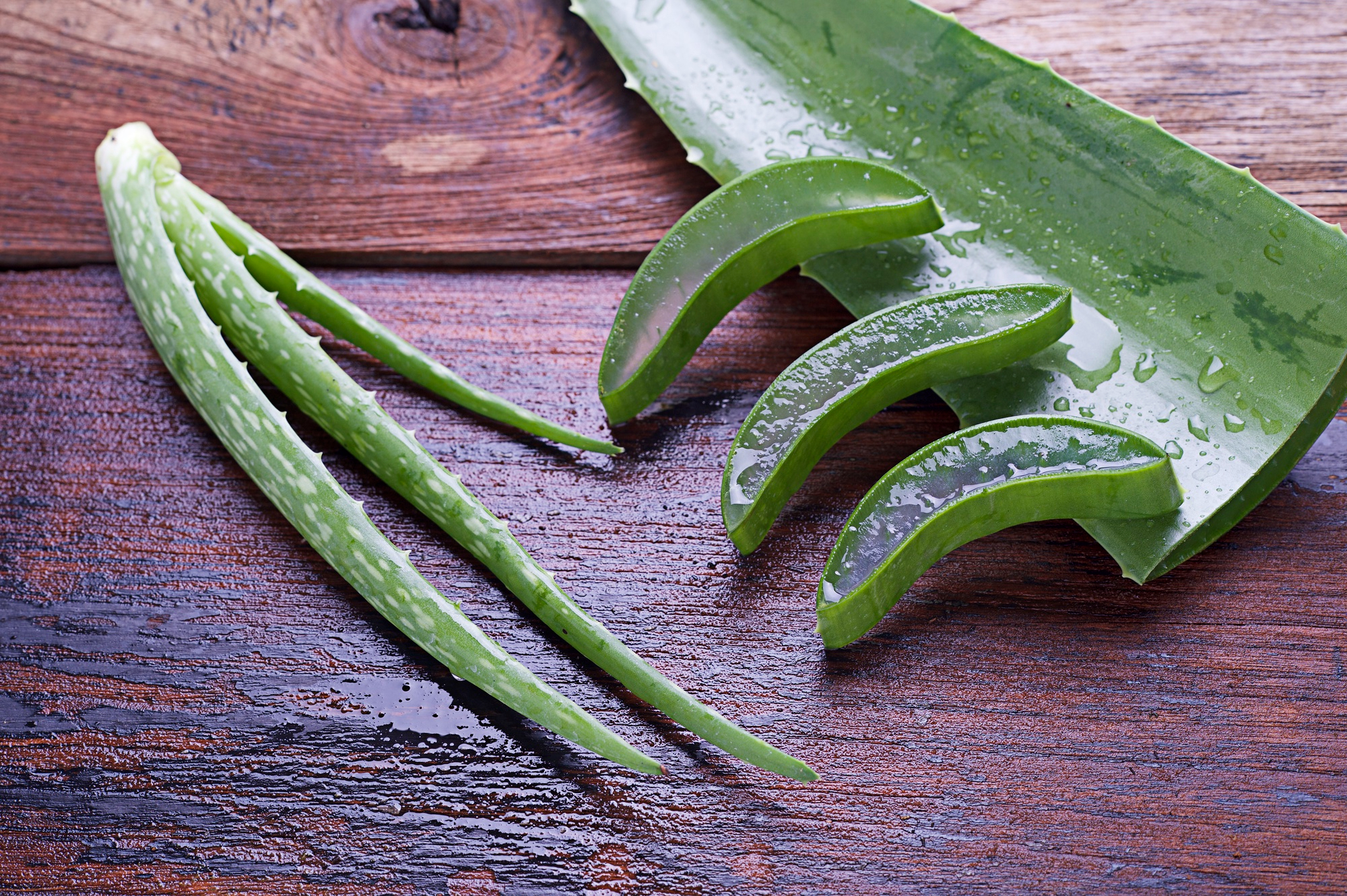 Jak wyglda aloes leczniczy? - dobre-ziola.pl